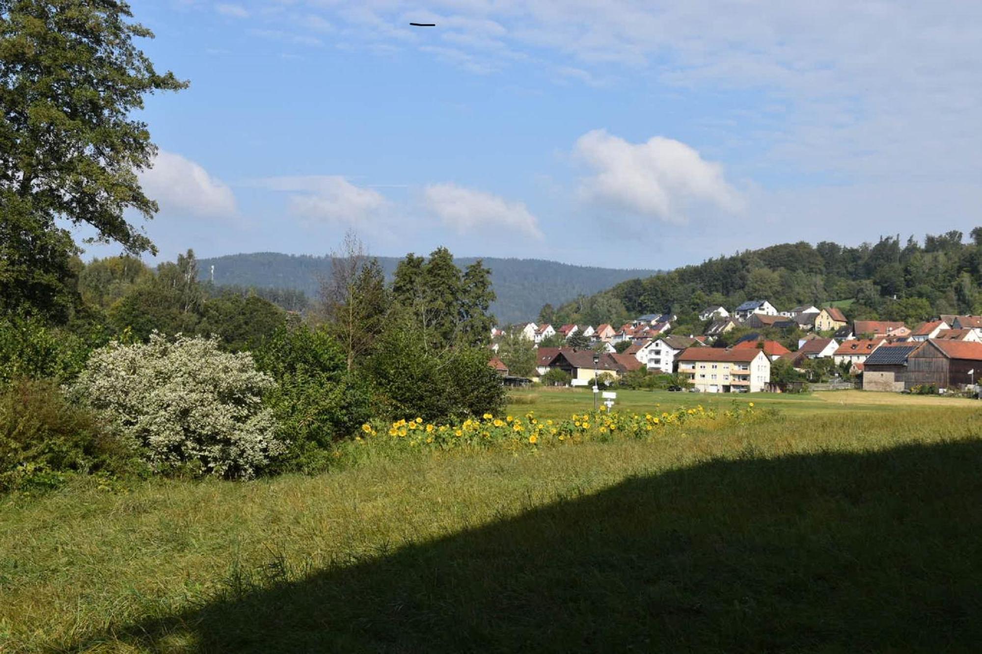 Gaestehaus Am Schlossberg Hotel Friedenfels Exterior photo